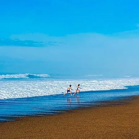 Florida 4* Biarritz