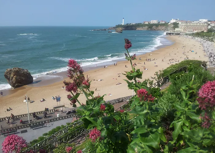 佛洛利达酒店 酒店