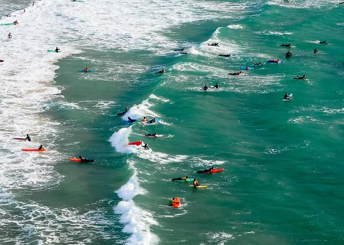佛洛利达酒店 酒店